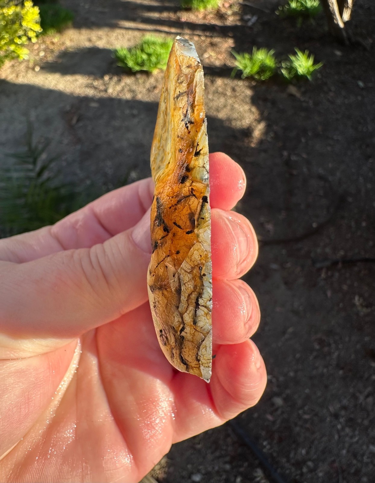 Montana Moss Agate End Cut, 58g, Cabbing/Lapidary