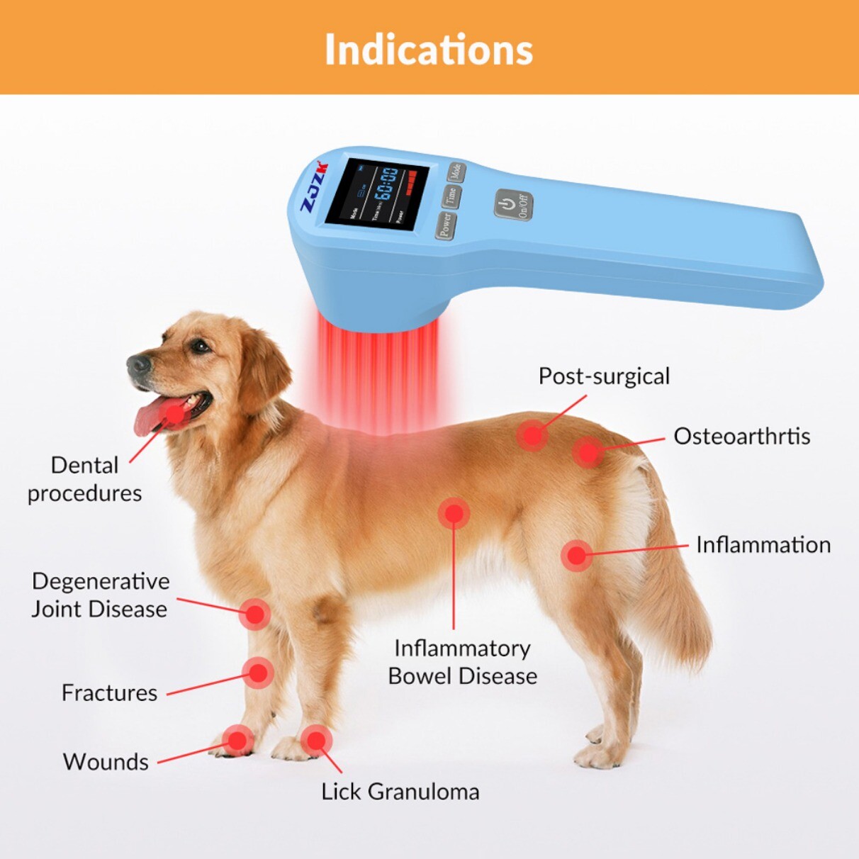 LLLT Laser Therapy Device Knee Back Pain Relief 650nm 808nm Red Light Treatment