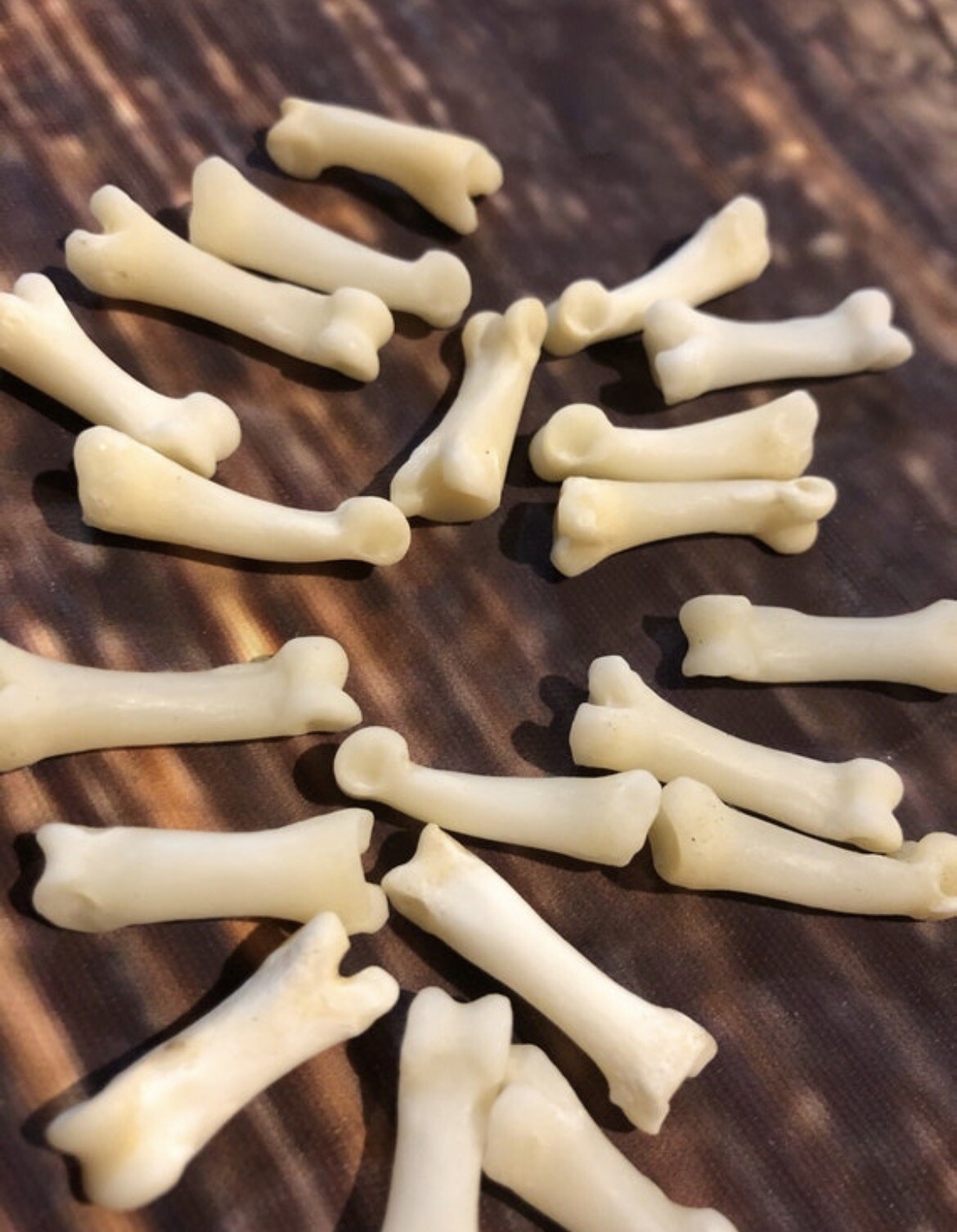 20 Real Coyote TOES BONE MOUNTAIN MAN CRAFT SUPPLY JEWELRY EARRING GOTHIC CLAWS