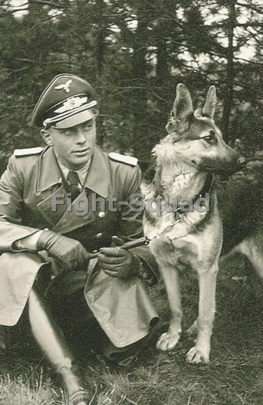 WW2 Picture Photo German Officer With His Dog in war 3310