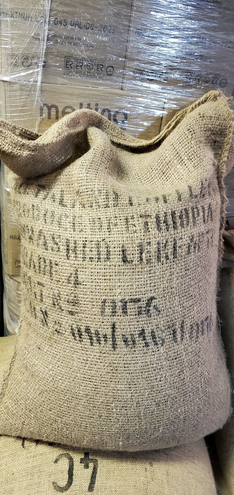 5 LBS ETHIOPIAN ETHIOPIA LEKEMPTI GREEN UNROASTED COFFEE BEANS - ARABICA