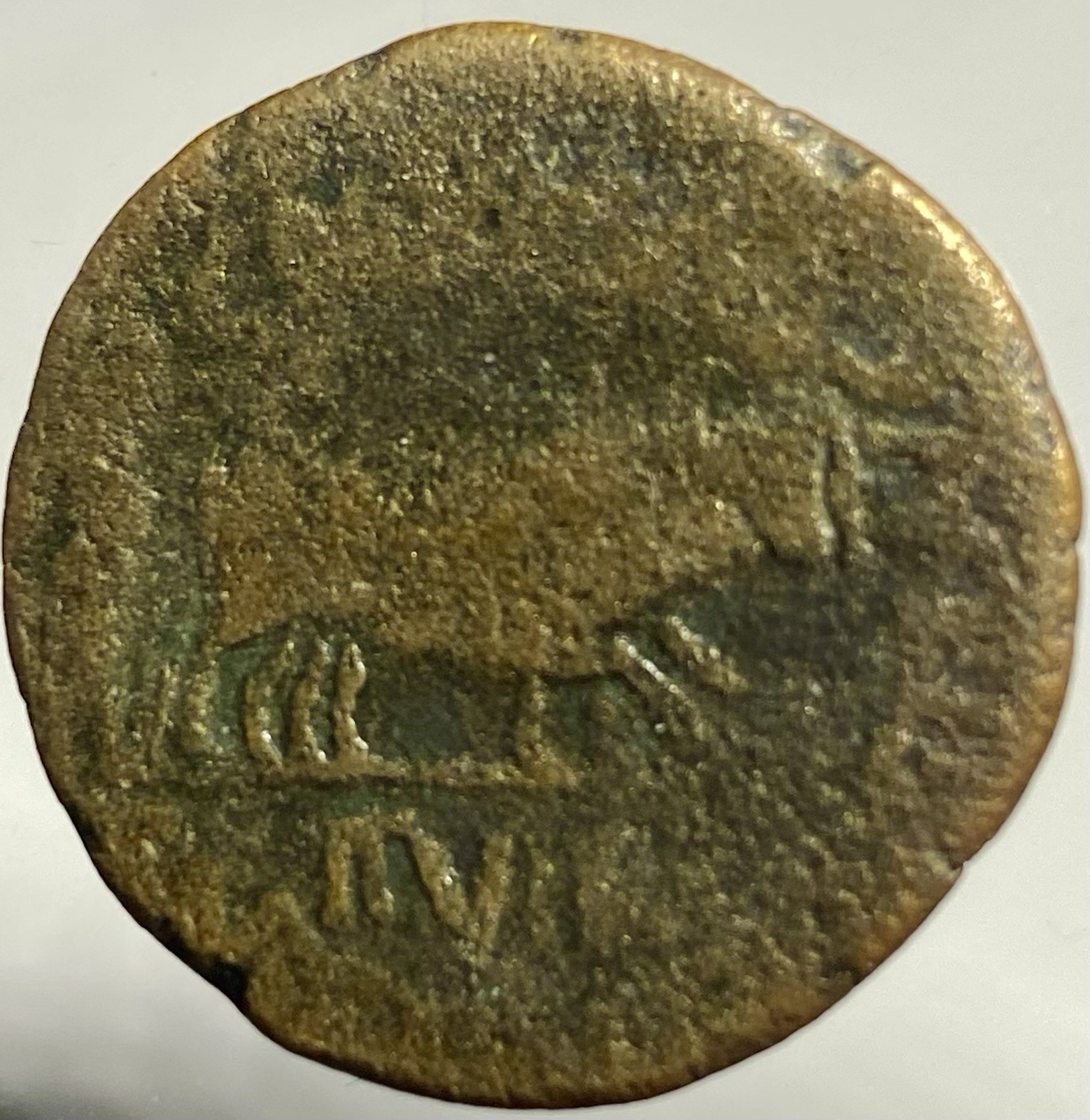 Emperor Tiberius Provincial Roman Coin 14AD-37AD Bull 28mm As Scarce Type