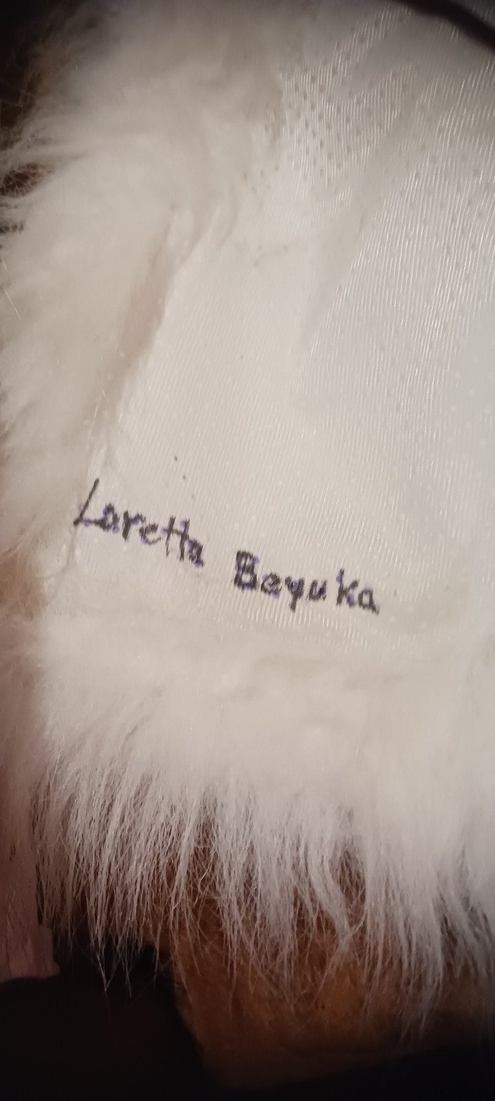 *AWESOME NATIVE AMERICAN WHITE BUFFALO HEAD DRESS LORETTA BEYUKA NICE HTF !*