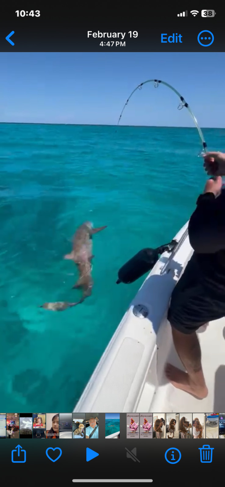 Spinning Rod - LARGO STICK I 7ft 1 Section 7 guides -Hook holder - Not Ugly