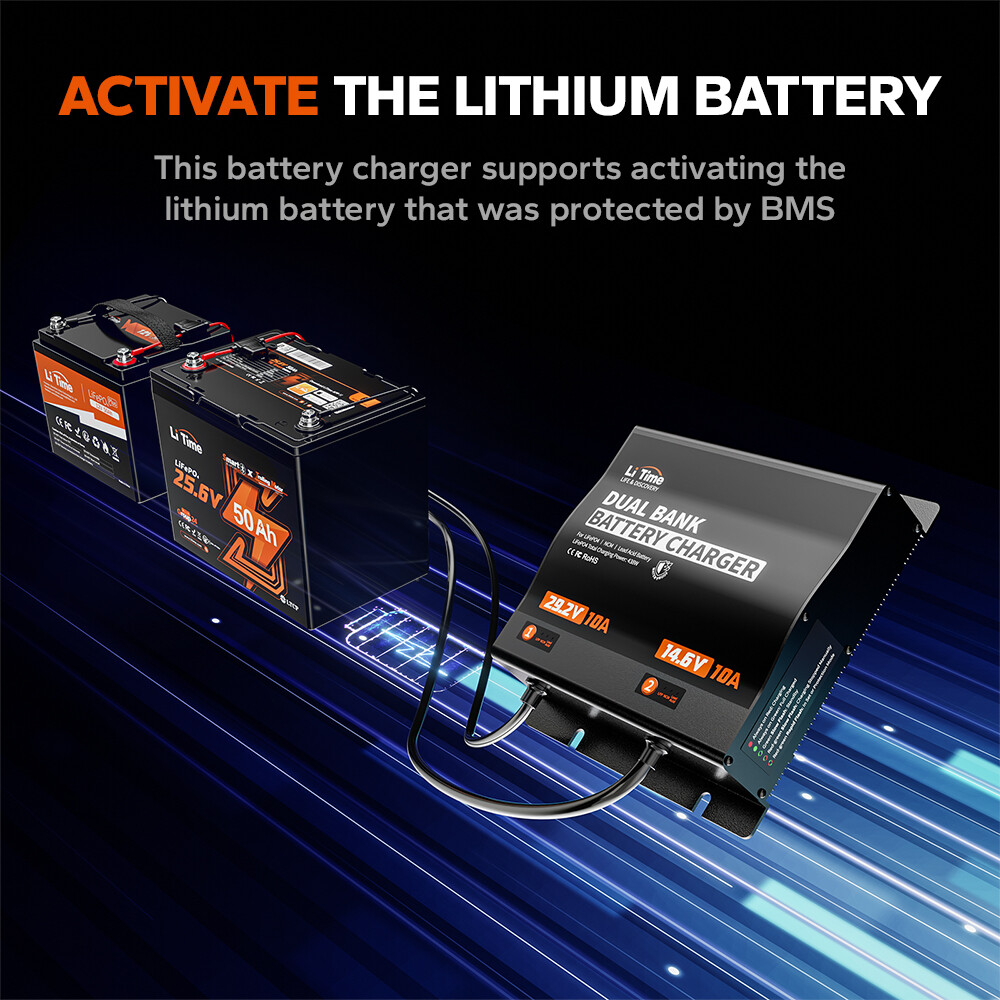 LiTime 14.6V 10A+29.2V 10A Dual Bank Battery Charger for LiFePO4 Lead Acid NCM