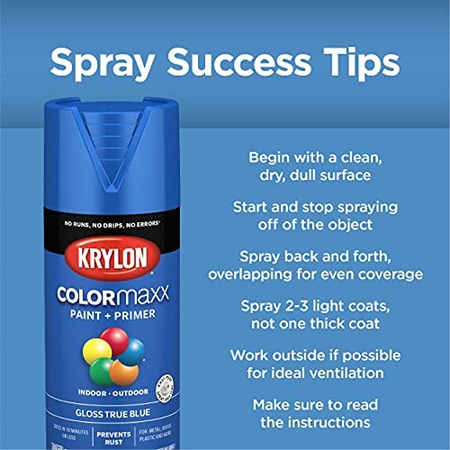 Krylon K05536007 COLORmaxx Spray Paint and 12 Ounce (Pack of 1), Rich Plum