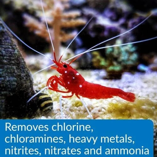 API Pond Aqua Essential Water Conditioner 32oz.