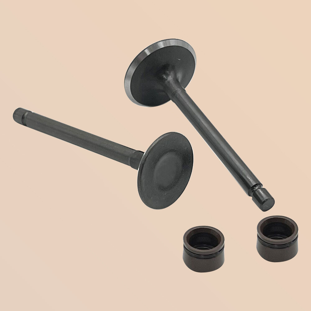 Engine Intake & Exhaust Valves for Yamaha TTR125 TTR125E TTR125EL 2000-2018