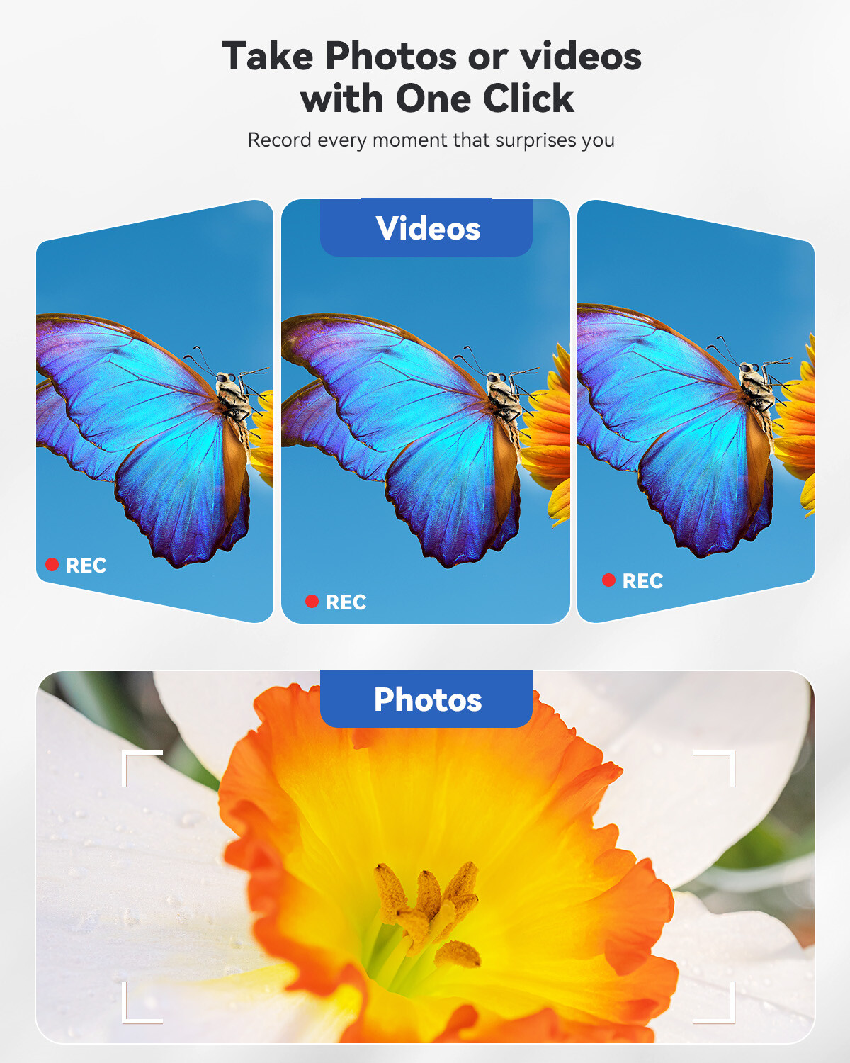 TOMLOV Digital Microscope Coin Microscope 50-1000X Magnification Handheld Used