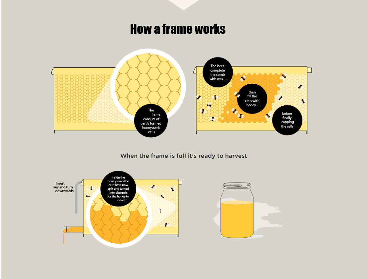Wooden Auto Seep Bee Hives Boxes Langstroth Bee Hive+BPA free Beekeeping Frames