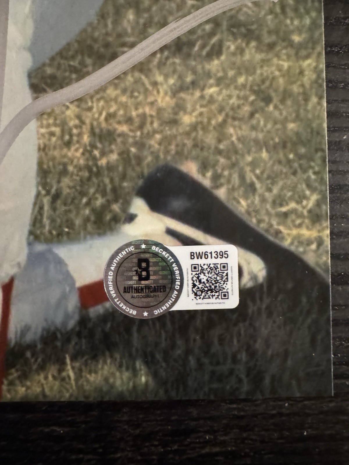 GAVIN NEWSOM (California Governor) Signed 8x10 Photo W Beckett BAS COA Trump