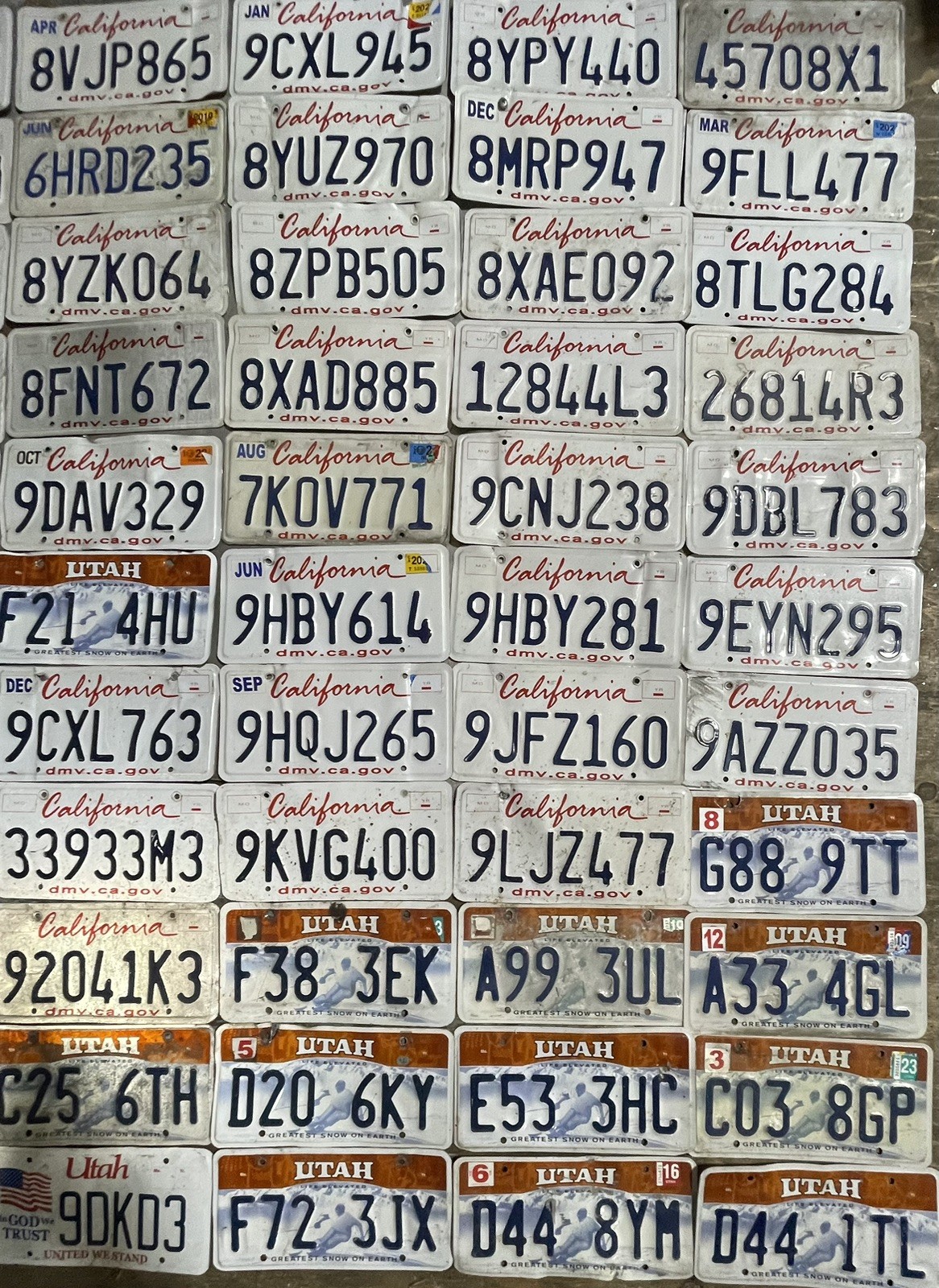 BULK LOT of 77 ROADKILL condition License Plates. FAST SHIPPING! Exact in Photo