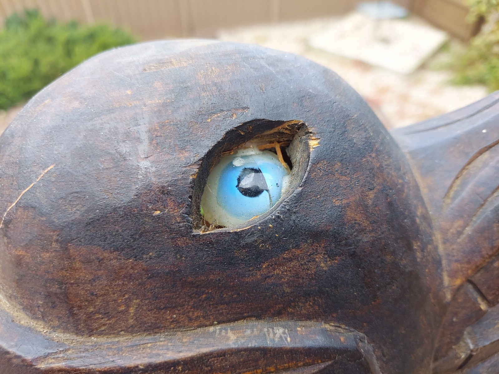 Vintage Mexico / Central American Carved WOLF Mask