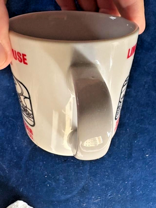 Vtg 1988 Limerick Nuclear Generating Station "Open House" Staff Vol. MUG - 3.5"