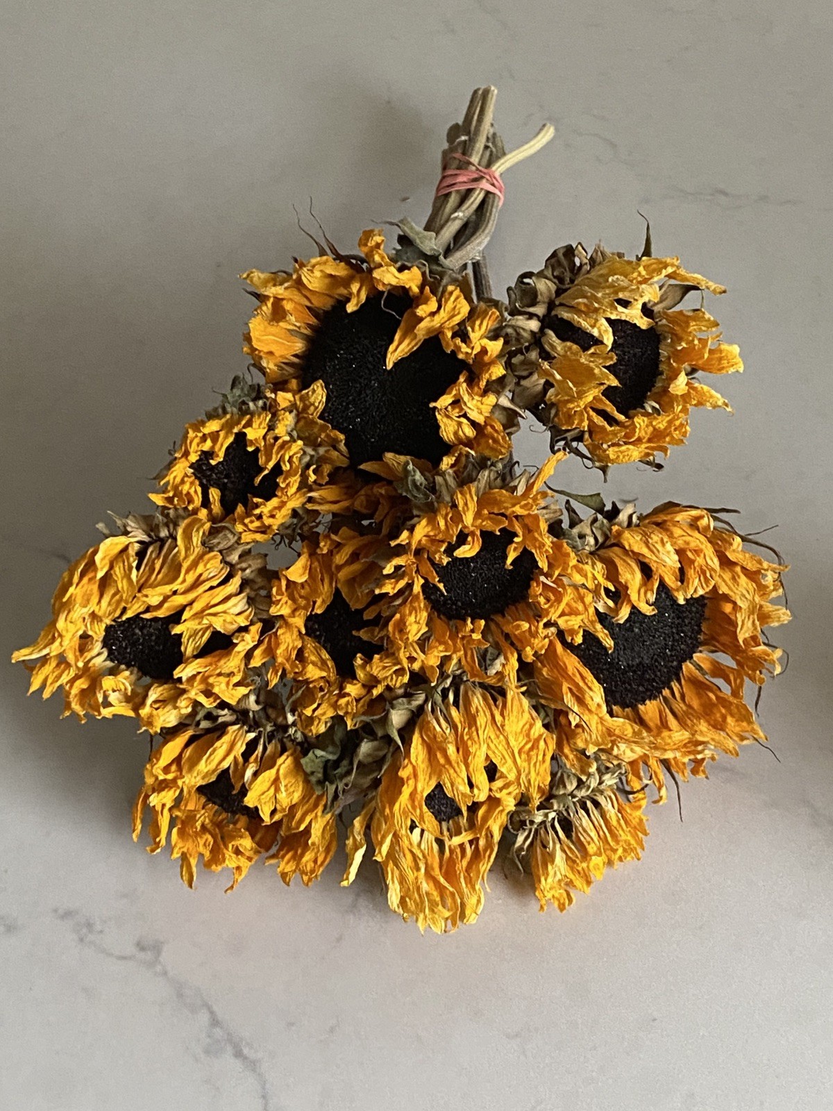 SUNFLOWERS Orange DRIED FLOWER Bunch BOUQUET Bundle USA Grown SUN FLOWERS Auc#2