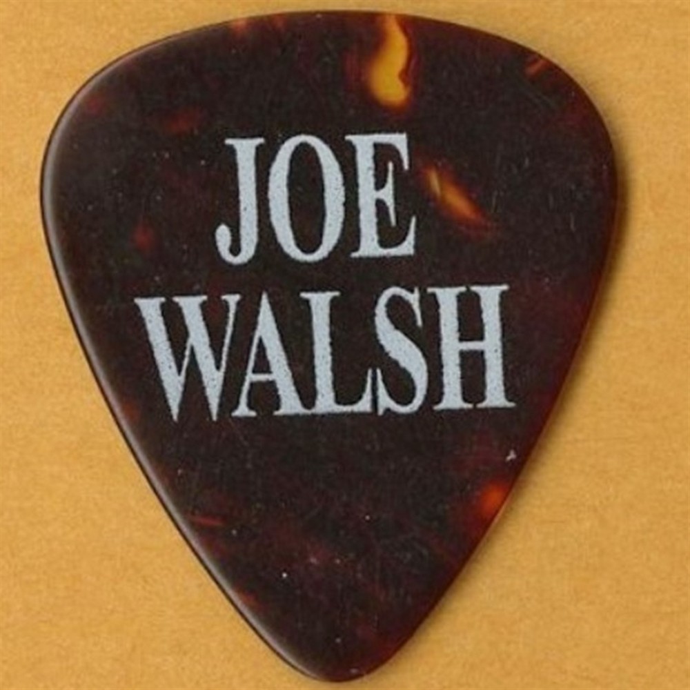 Eagles 2005 Farewell concert tour Joe Walsh stage Guitar Pick