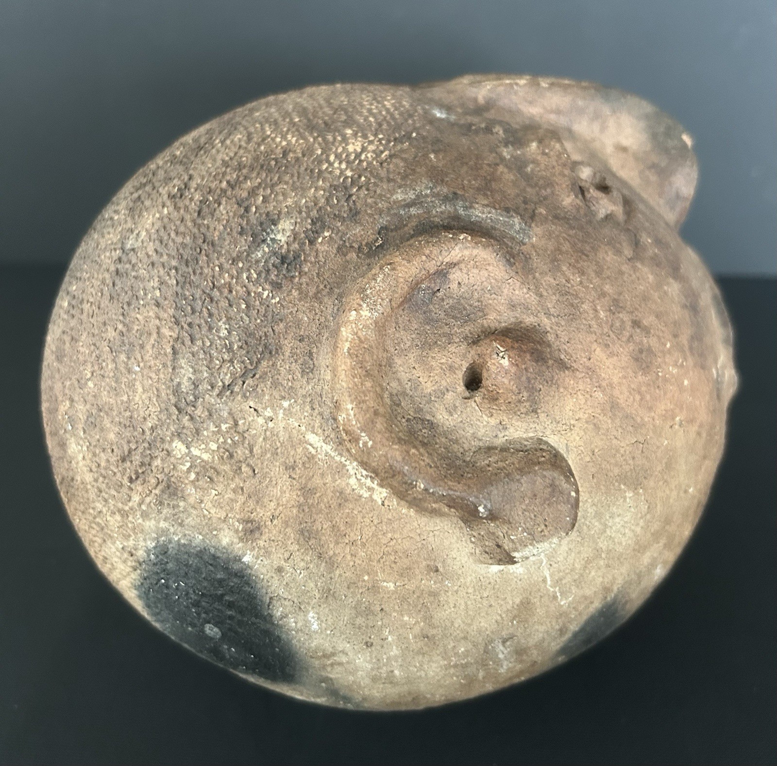 Antique Pre Columbian Clay Pottery Head Coinbank From Veracruz, Mexico 7.5”