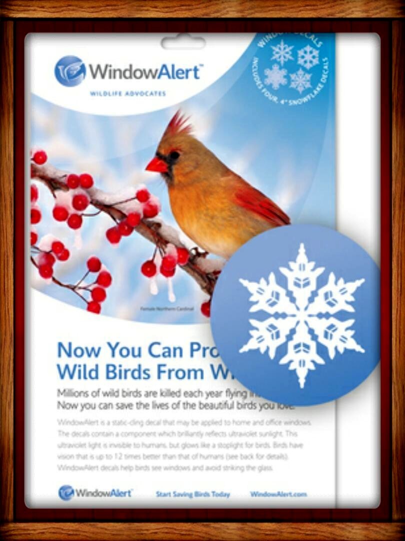 Window Alert ANTI-COLLISION CLINGS DECALS SNOWFLAKE SAVE BIRDS PREVENT STRIKES