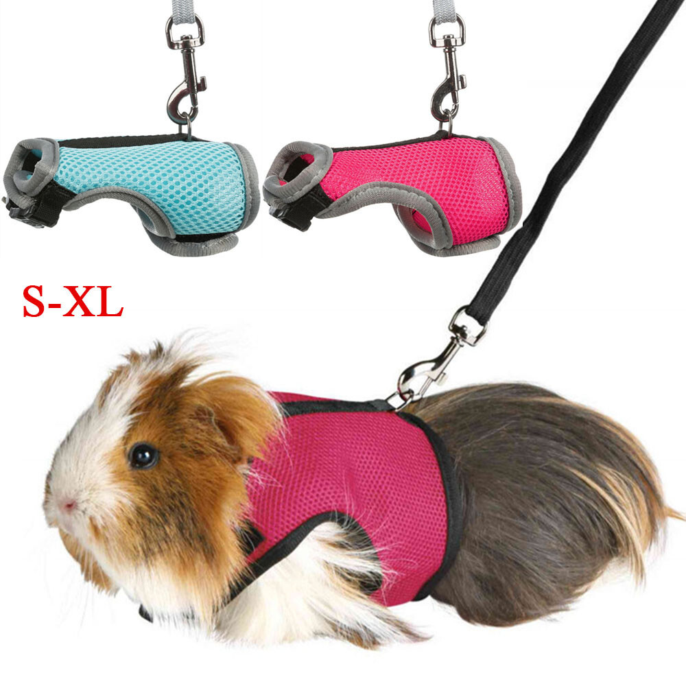 Adjustable Pet Hamsters Harness Control Vest Small Pet With Leash Chest Strap ☾