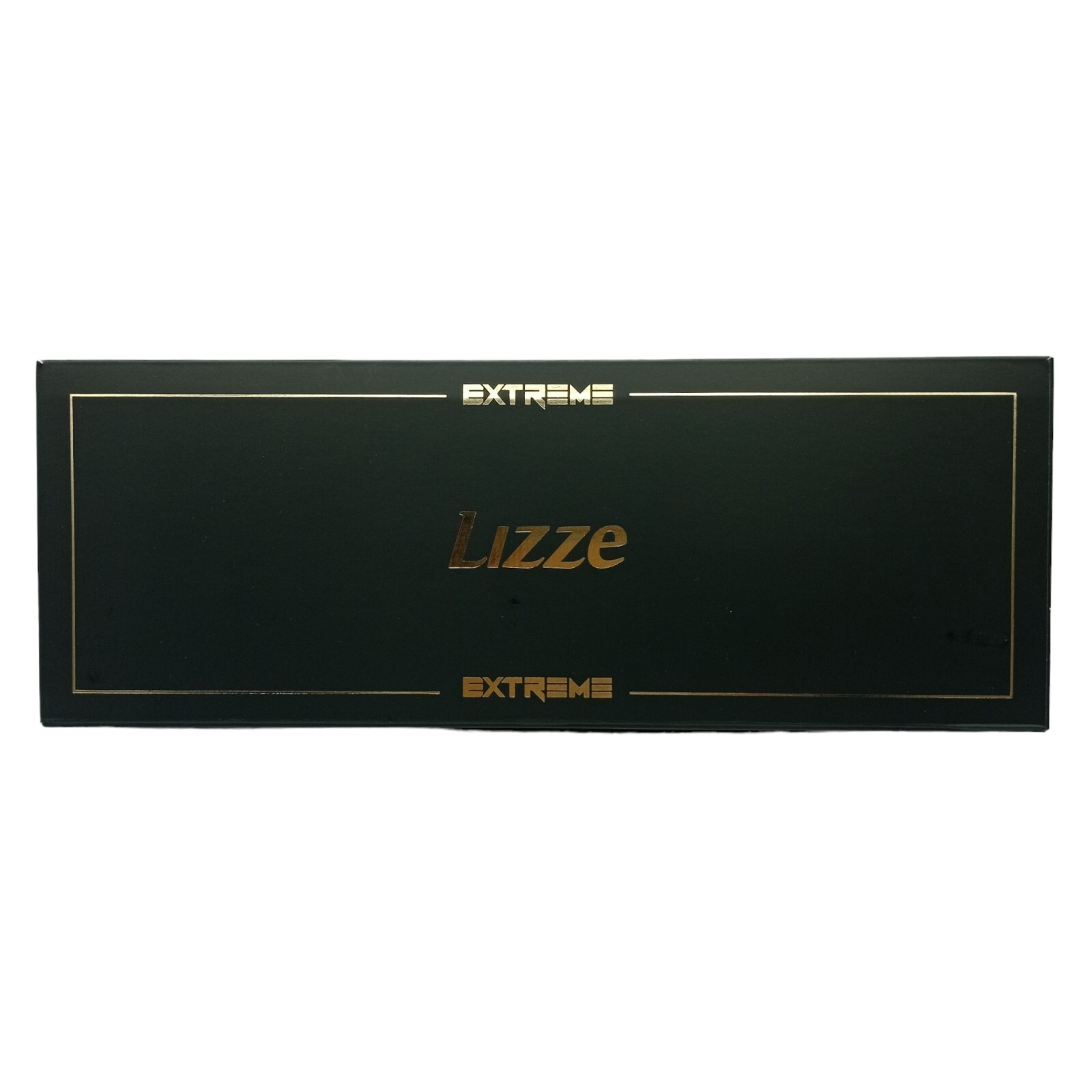 Lizze Extreme Professional Hair Straightener Titanium 480°F 127V