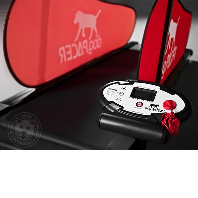 dogPACER Dog Treadmill Folds Portable Small Med Large Dogs 1-179 lbs NEW