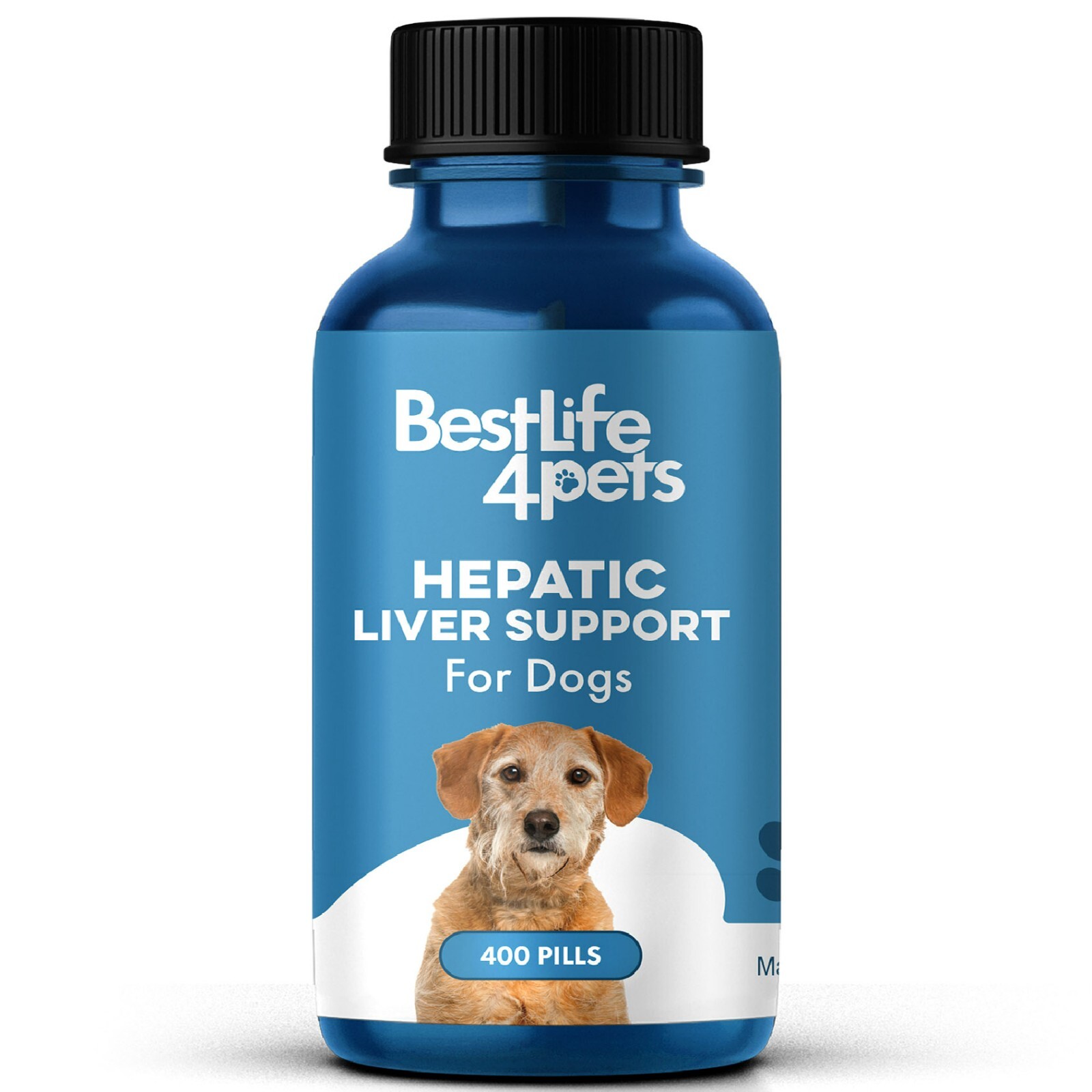 Natural Hepatic Dog Liver Support Tablets