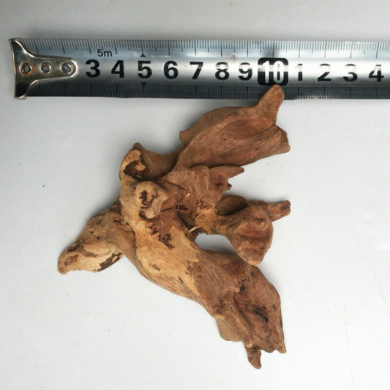 All Natural Aquarium Driftwood Assorted Branches Reptile Ornament for Fish Tank