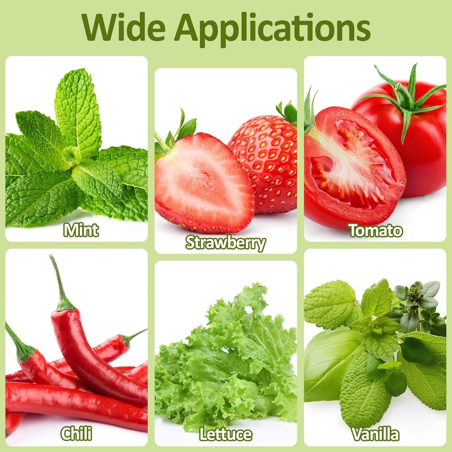 50 pc Hydroponic Grow Sponges Seed Starter Plugs for Herbs, Vegetables & Flowers