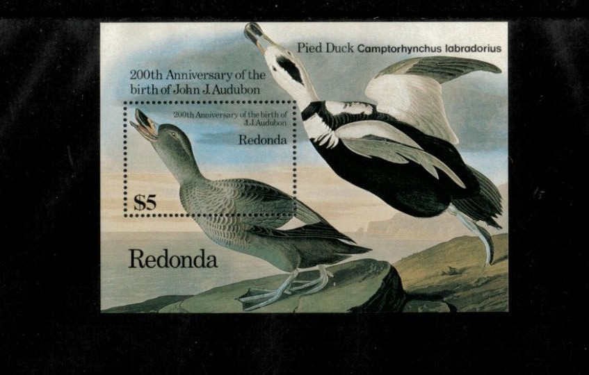 Redonda 1986 - Audubon Duck - Souvenir Stamp Sheet - Scott #196 - MNH