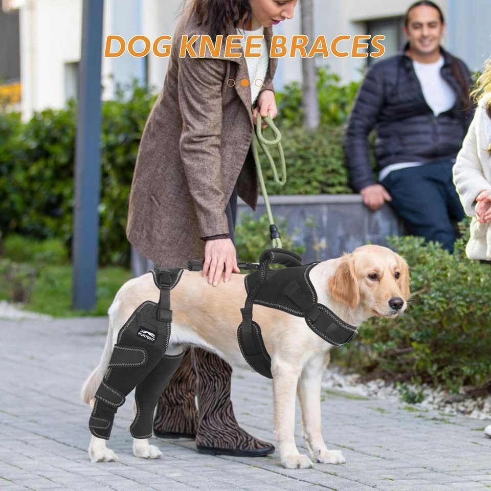 Brand New Dog ACL Brace Hind Leg Adjustable Leg and Hip (X-Large) Wrap Harness