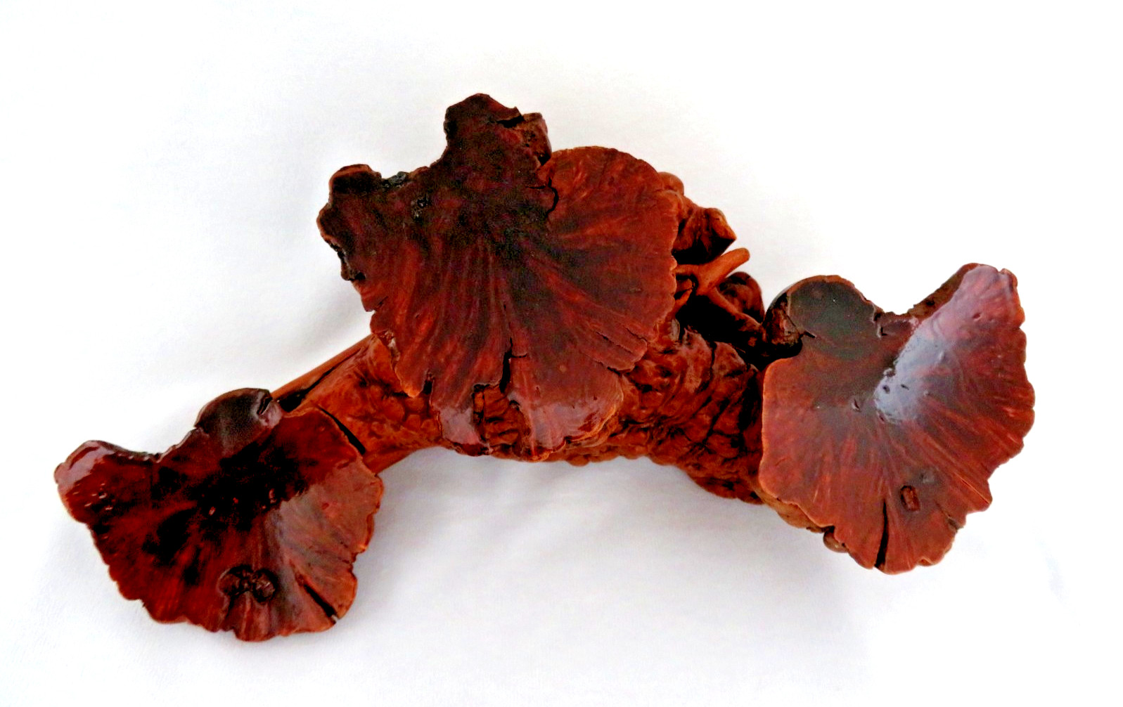 Vintage Natural Organic Burl Wood Root Tiered Triple Display Stand