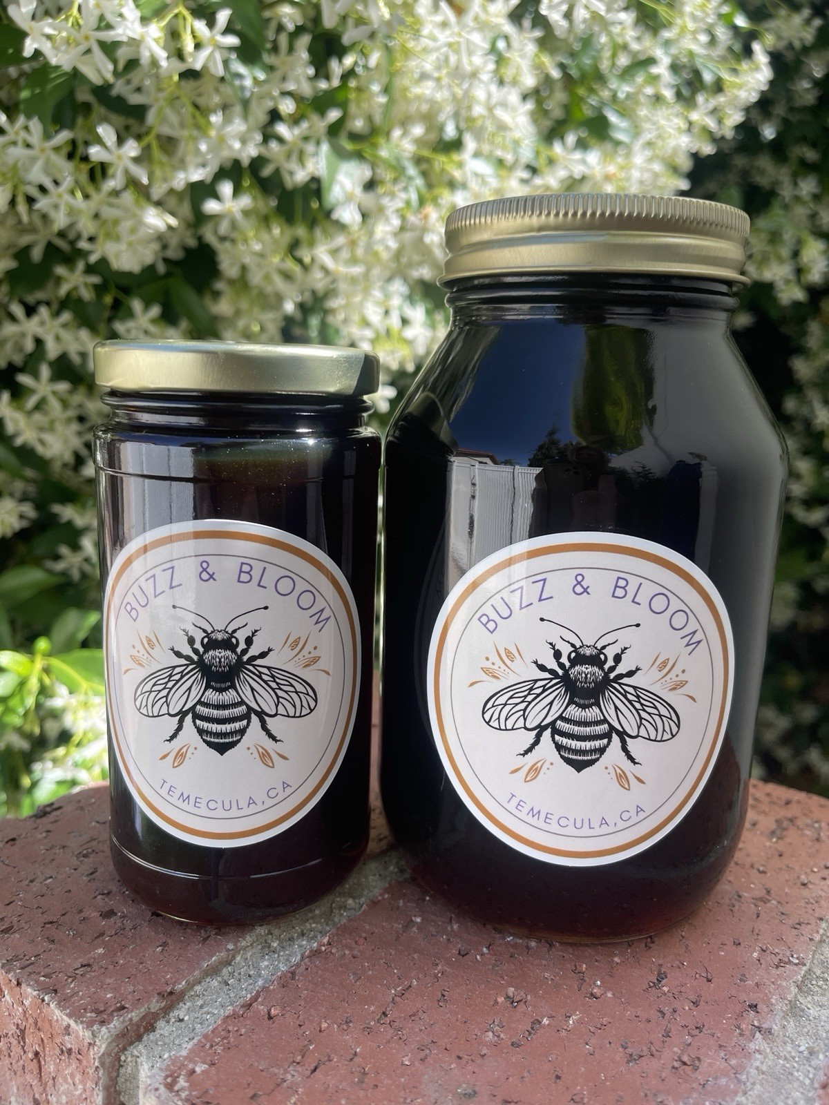 Raw Avocado Blossom Honey, 32oz jar