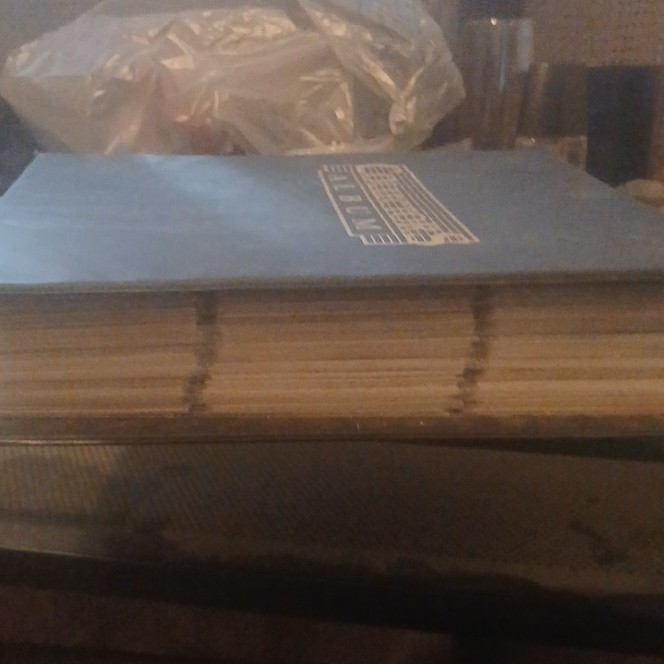 MYSTERY BINDER filled with sport cards