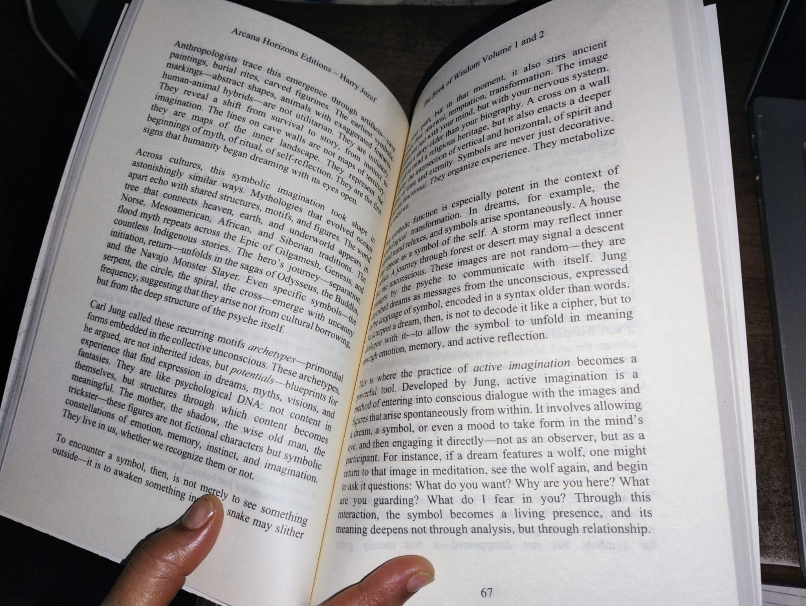 The Book of Wisdom: Volume 1 and 2 -- Harry Jozef - Paperback US