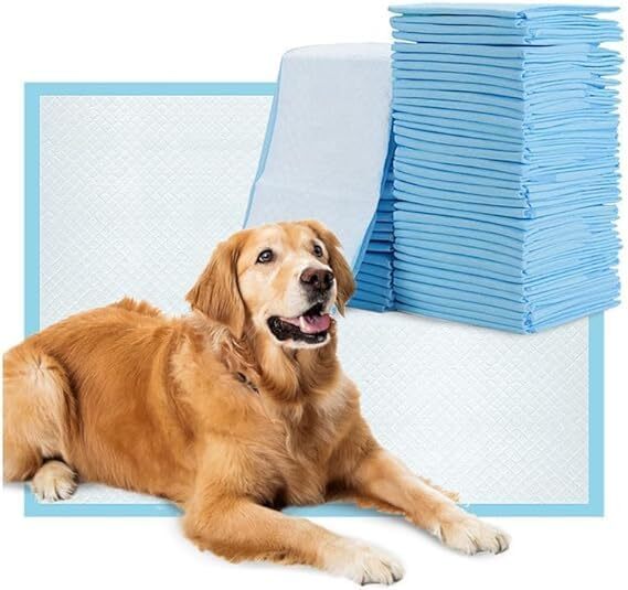 FPN Unscented Blue Potty Training Pads for Dogs 24x24" Ultra-Absorbent UnderPads
