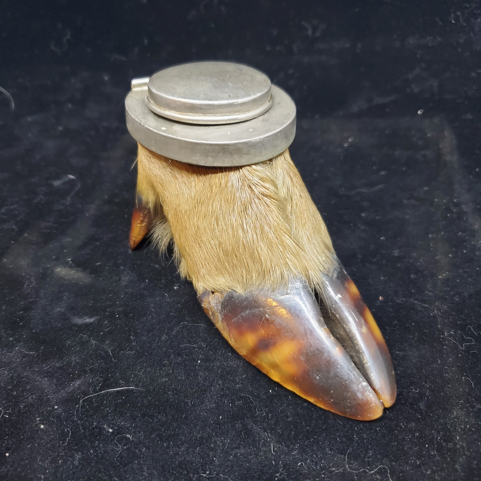 Vintage Adirondack Deer Split Hoof Taxidermy Inkwell Holder Rustic Camp Decor