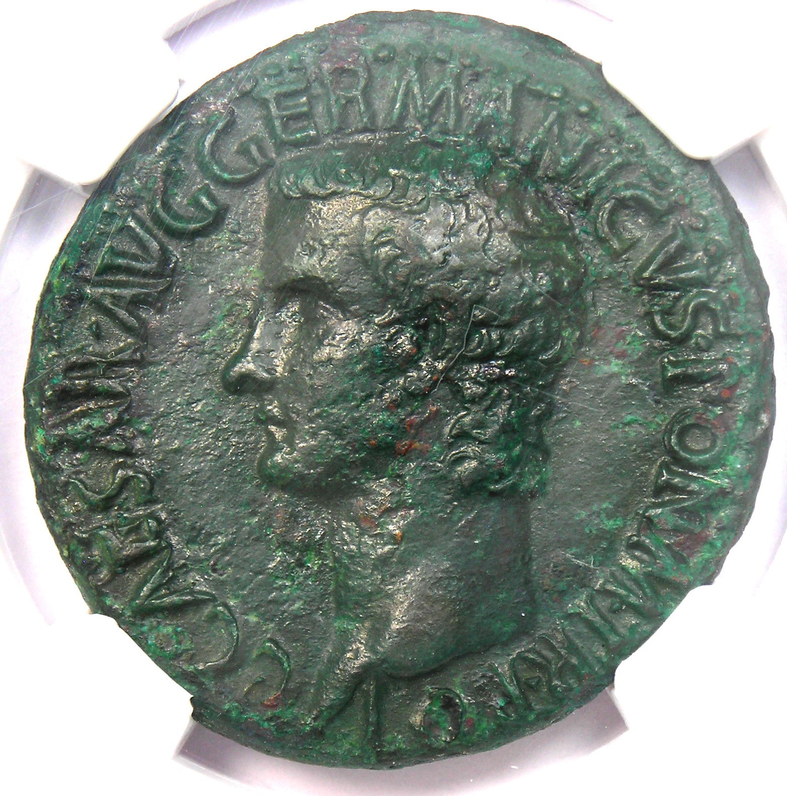 Gaius Caligula AE As Copper Roman Coin 37-41 AD - Certified NGC Choice XF (EF)