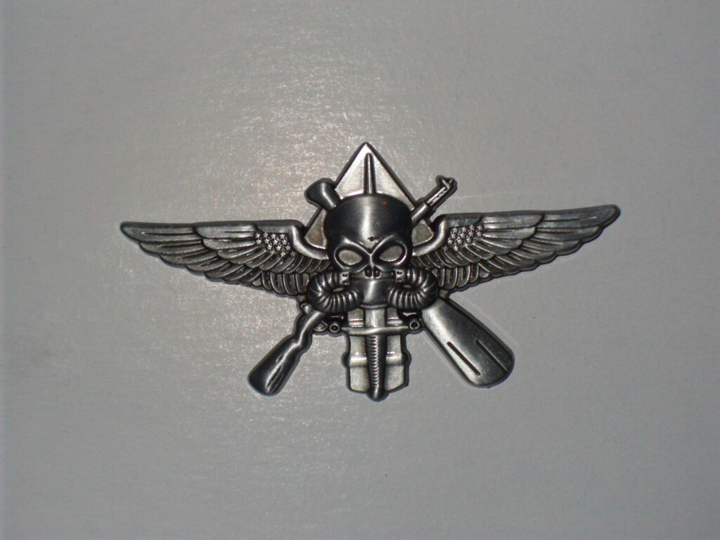 Prototype MARSOC Badge Raider Skull Pin US Marine Corps Tactical Operator