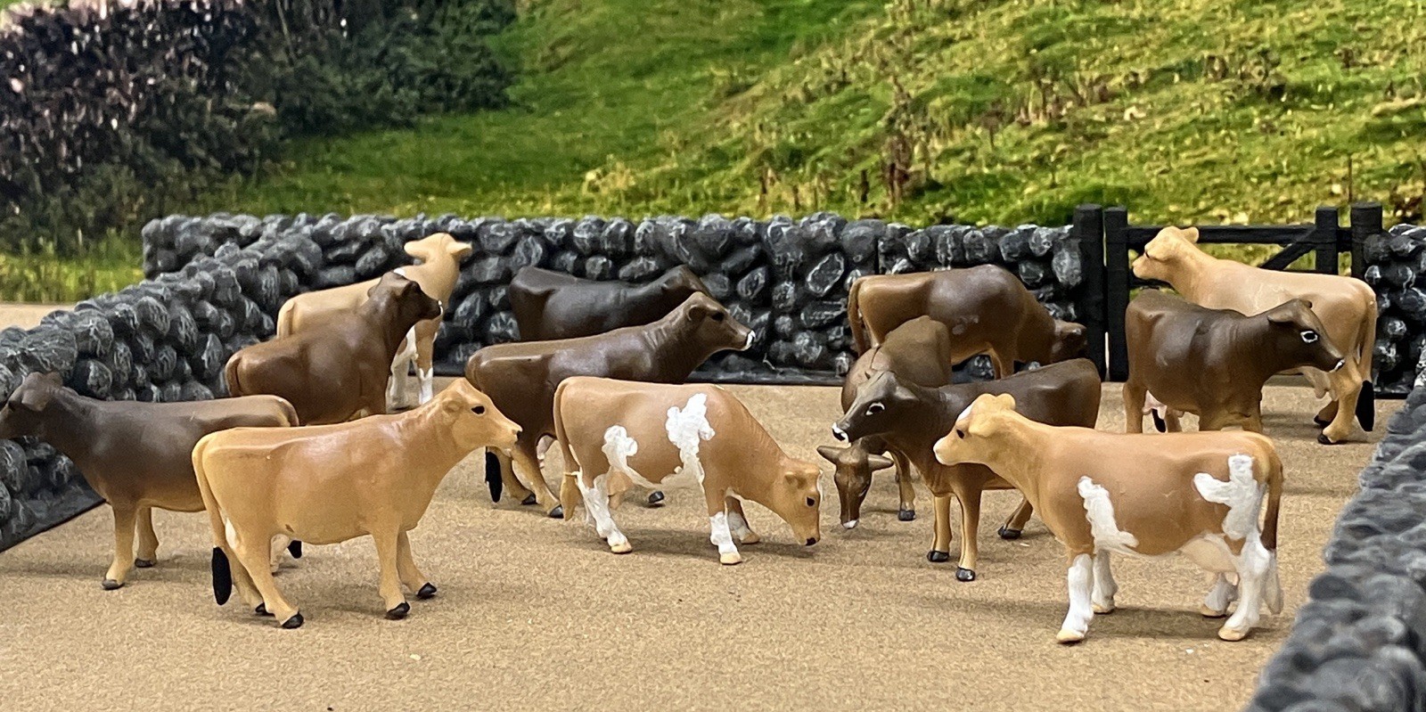 Custom CM Ertl 1:64 Lot Of 13 Jersey Dairy Breed Milk Cows Cattle Farm Scene