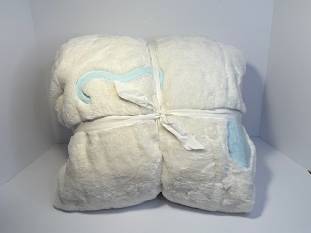 Pottery Barn Teen Hello Kitty & Friends Large Cinamoroll Bean Bag Cover only