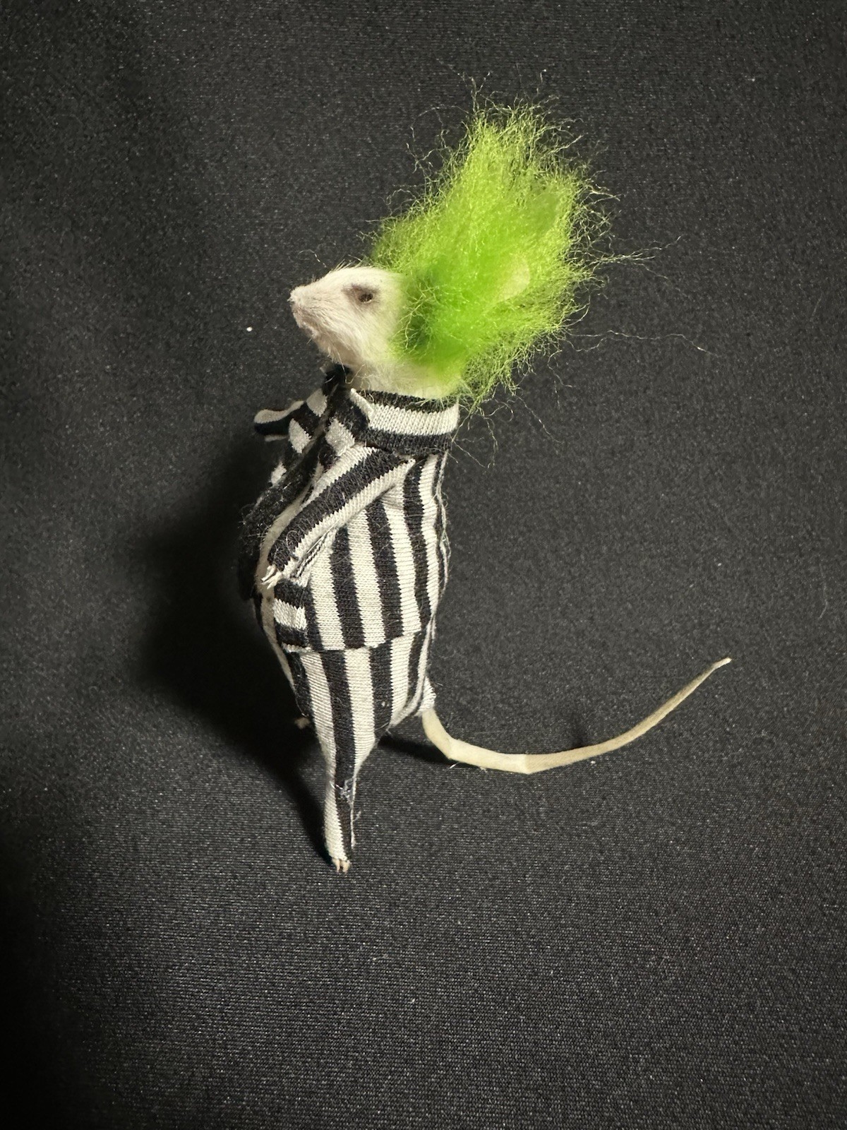 Taxidermy Mouse Beetlejuice Mouse Oddities Curiosities Taxidermy Art