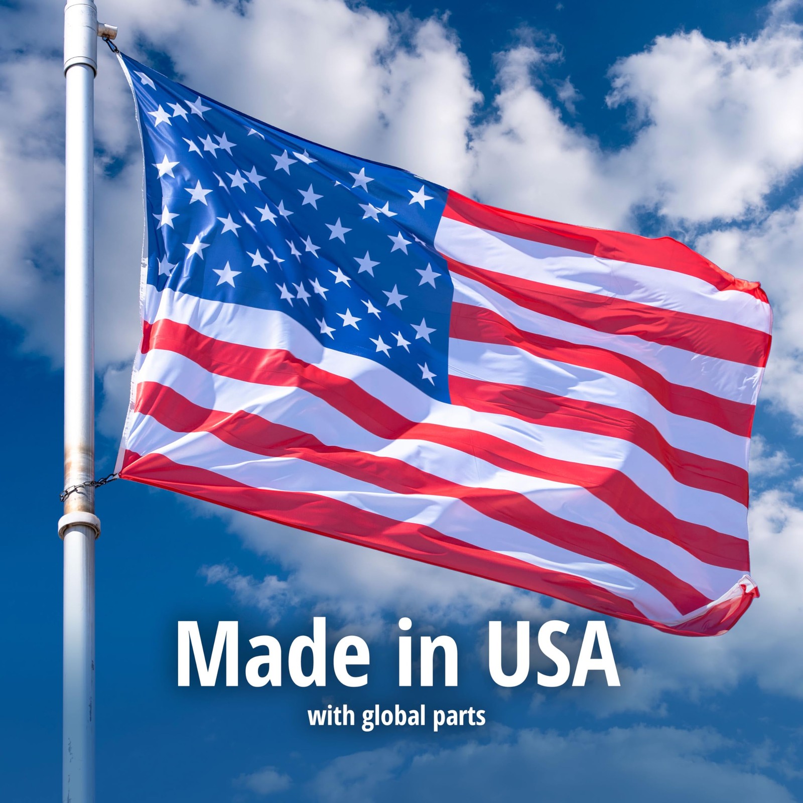 1079SR Large 1Door Humane Catch and Release Live Animal Trap Cage Live Racco...