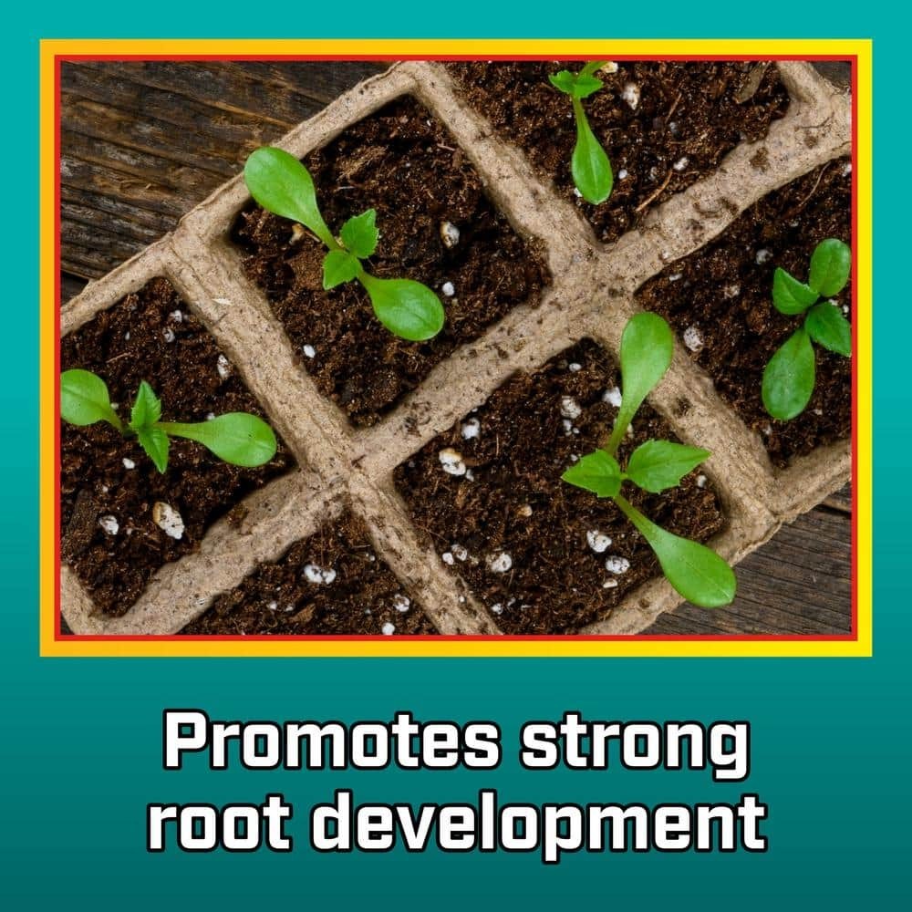 Vigoro 8-Qt Organic Perlite Soil Amendment Lightweight Weed-Free for Pots & Gard