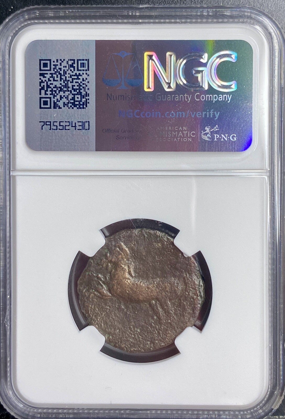 Numidian Empire Coin 208BC-118BC Punic War NGC Genuine Ancient Carthage Era