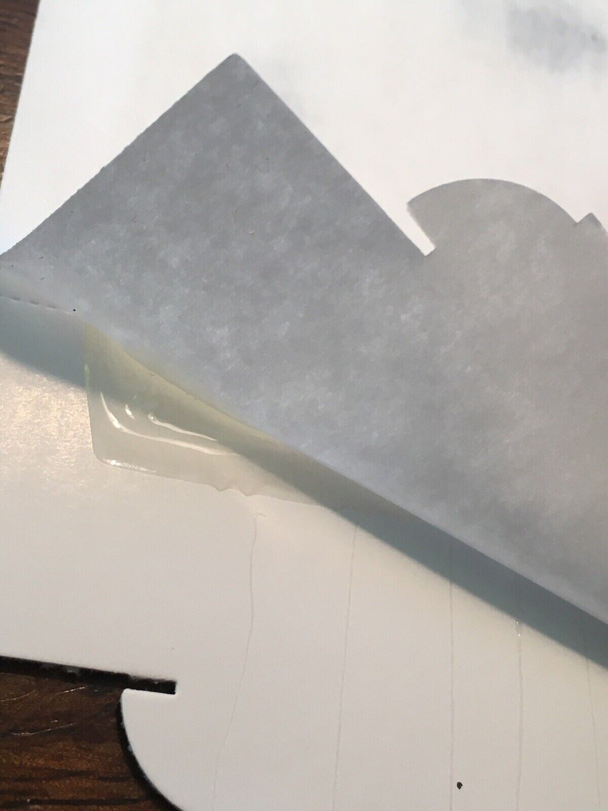 10x Catchmaster Gluee Louee Mouse Insect Glue Traps Boards. 10 Pack. Free Ship!