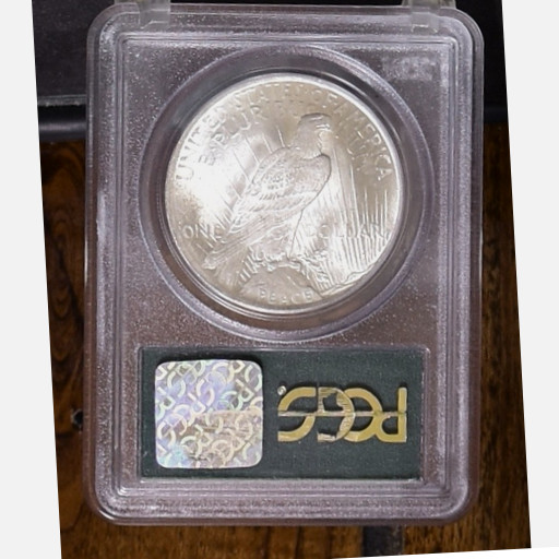 :1923-P SILVER PEACE DOLLAR FLASHY BLAST WHITE PCGS GEM BU MS65 HIGHEST GRADES