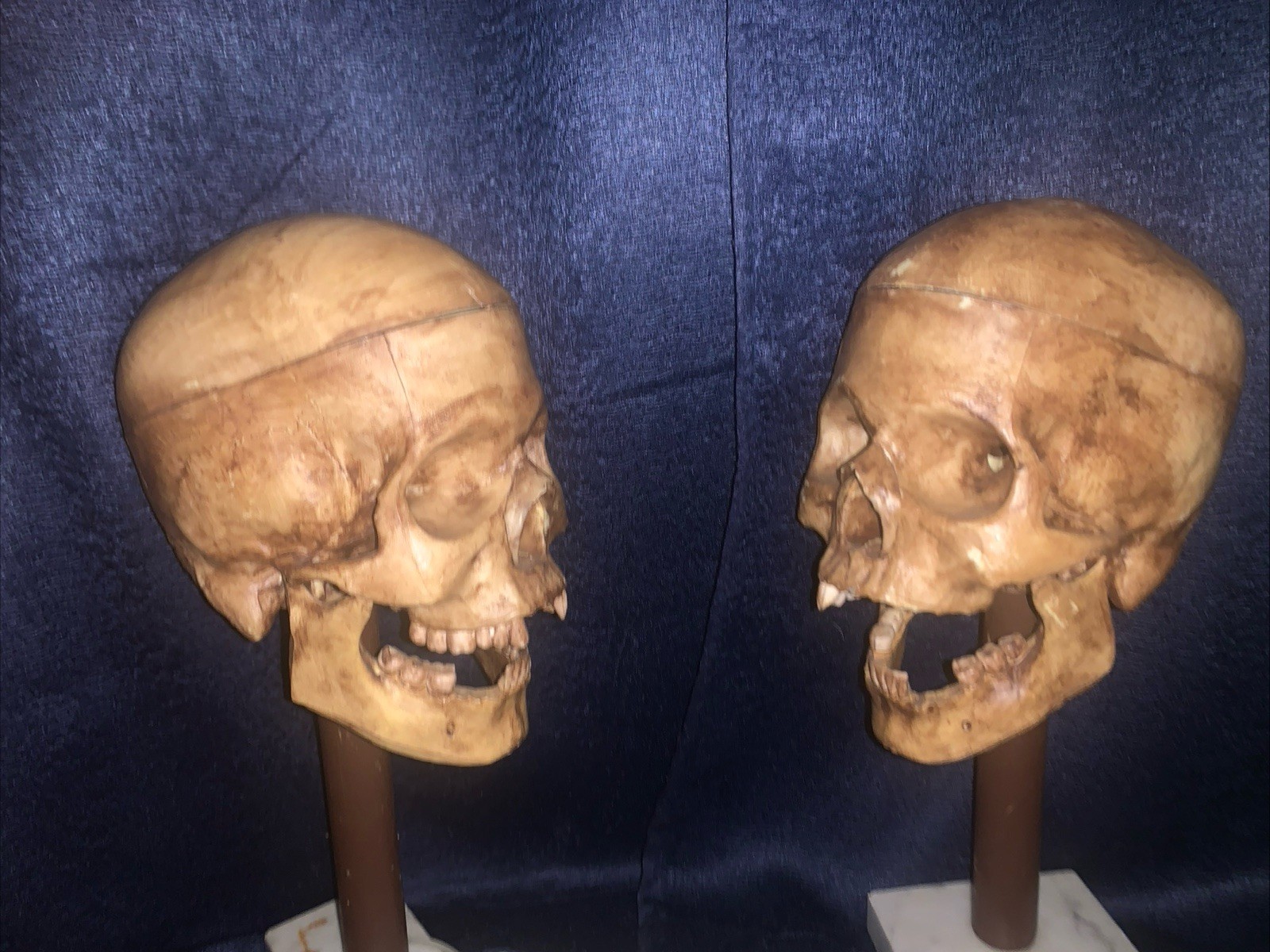 Vintage Realistic Human Skulls