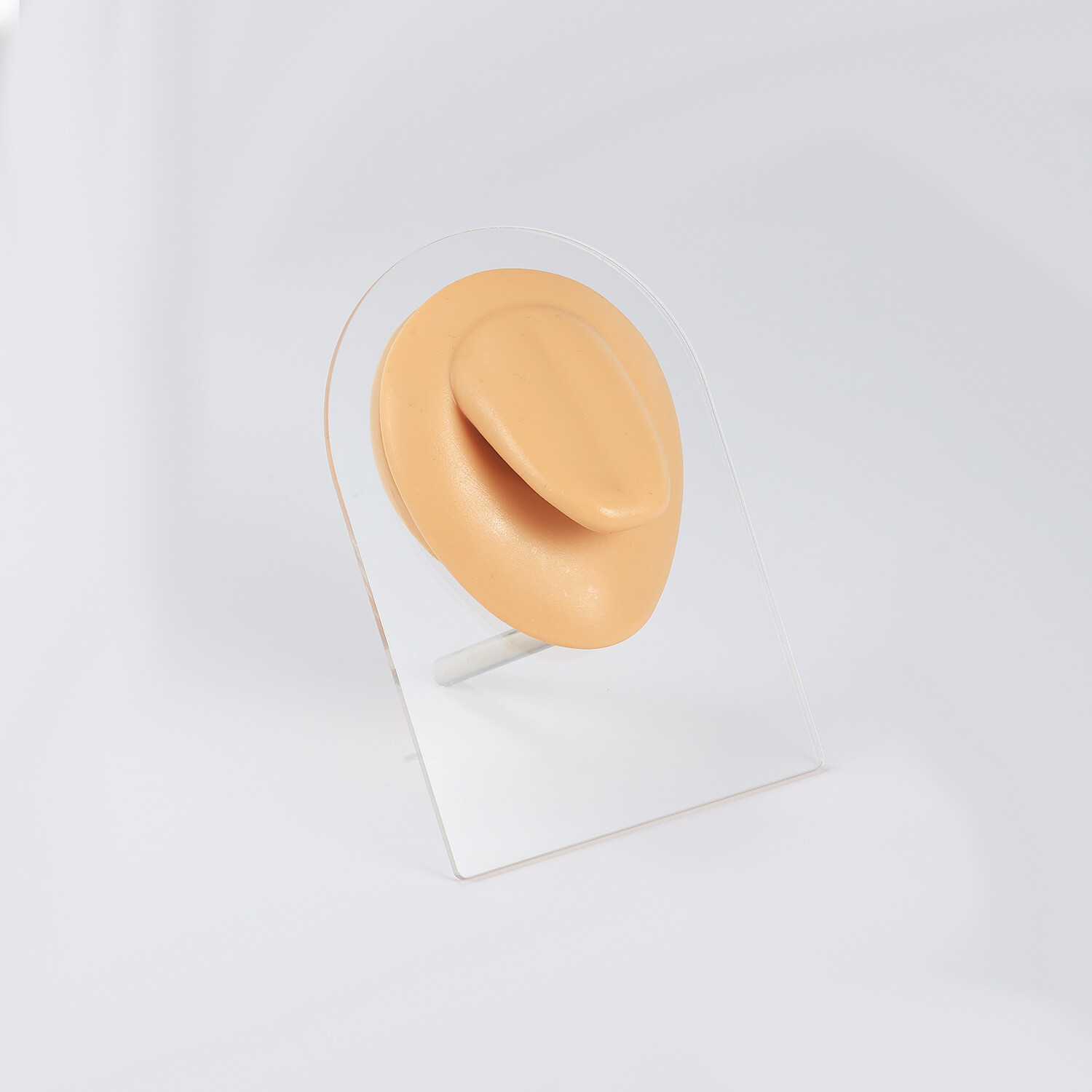 Silicone Ear Model with Acrylic Display Stand Body Parts Practice Piercing Tools