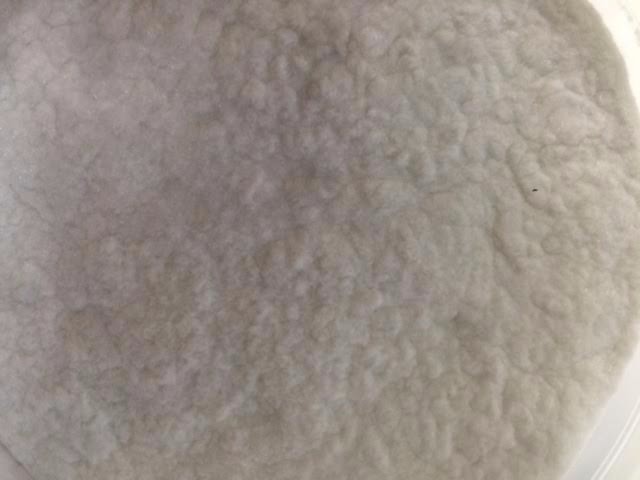 1/32" Fiberglass milled fibers Pint