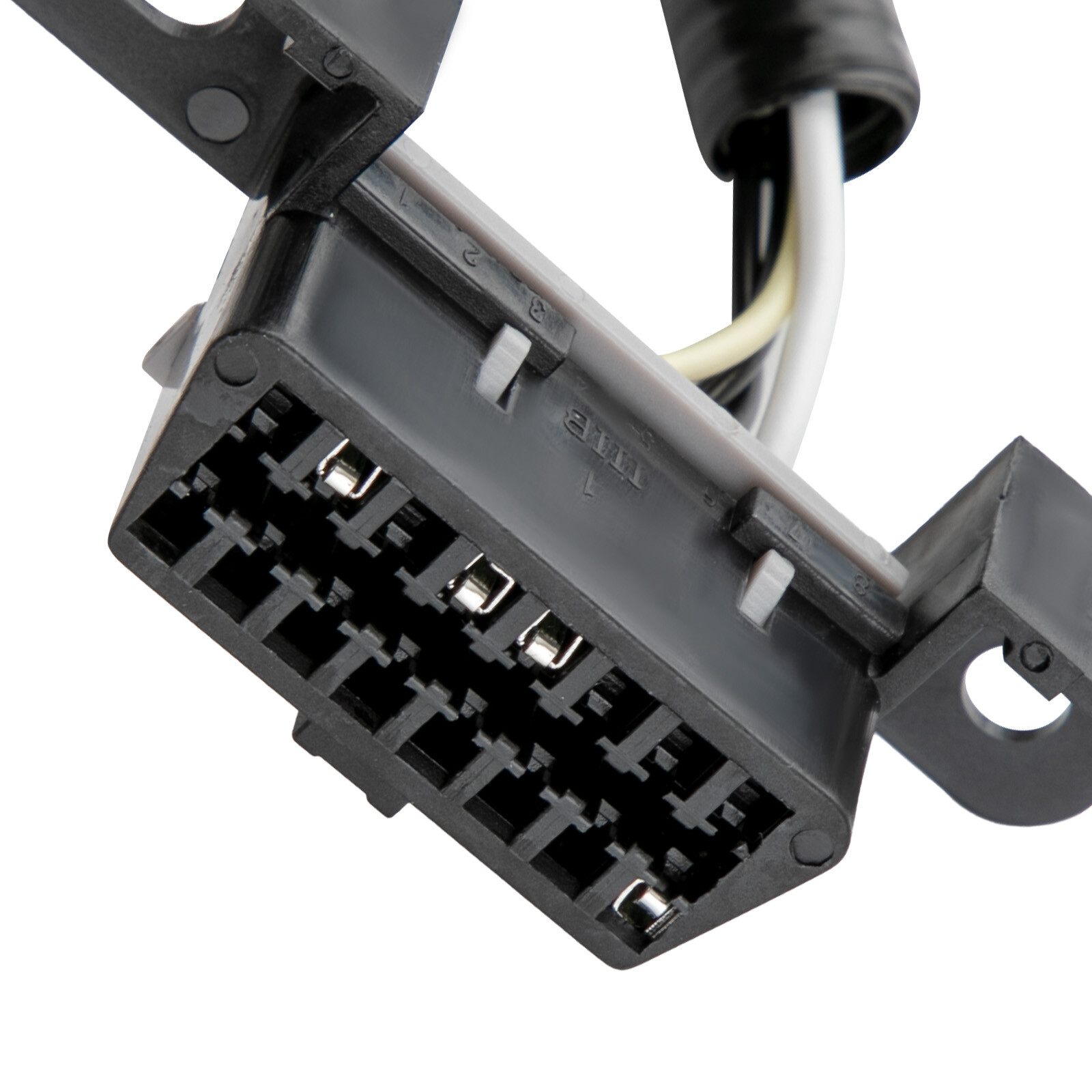 Standalone Harness For T56 Manual Tran 4.8/5.3/6.0l Ls Swap Ls1 Engine 97-06 Dbc